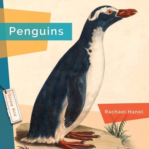 Rachael Hanel Penguins (Paperback)Another great item from Rarewaves USA | Free delivery!