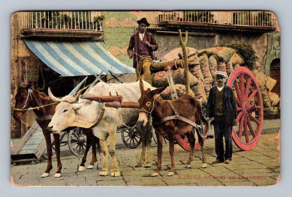 Italy- Naples Transport Ox-Cart Standard Souvenir Postal Old Vintage Postcard