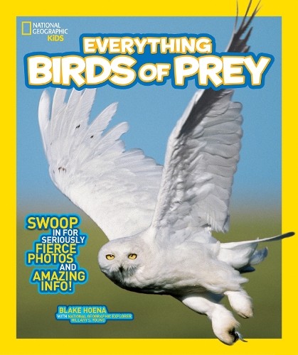 Blake Hoena Everything Birds of Prey (Paperback) EverythingAnother great item from Rarewaves USA | Free delivery!