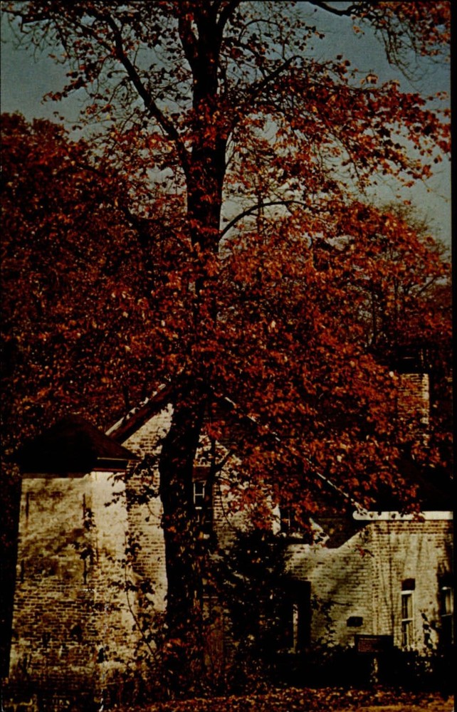 Allaire State Park NJ Village Enameling building fall foliage vintage postcard