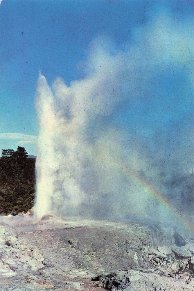 Rotorua NZ New Zealand, Pohutu Geyser, Whakarewarewa, Vintage Postcard
