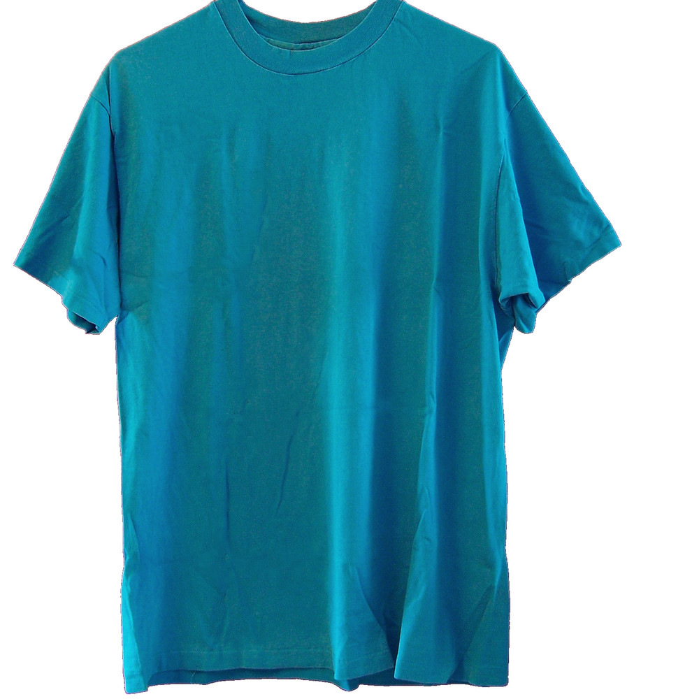 Men's Hane's Size Large CrewNeck T-Shirt Short Sleeve Aqua Teal Blue Cotton USA