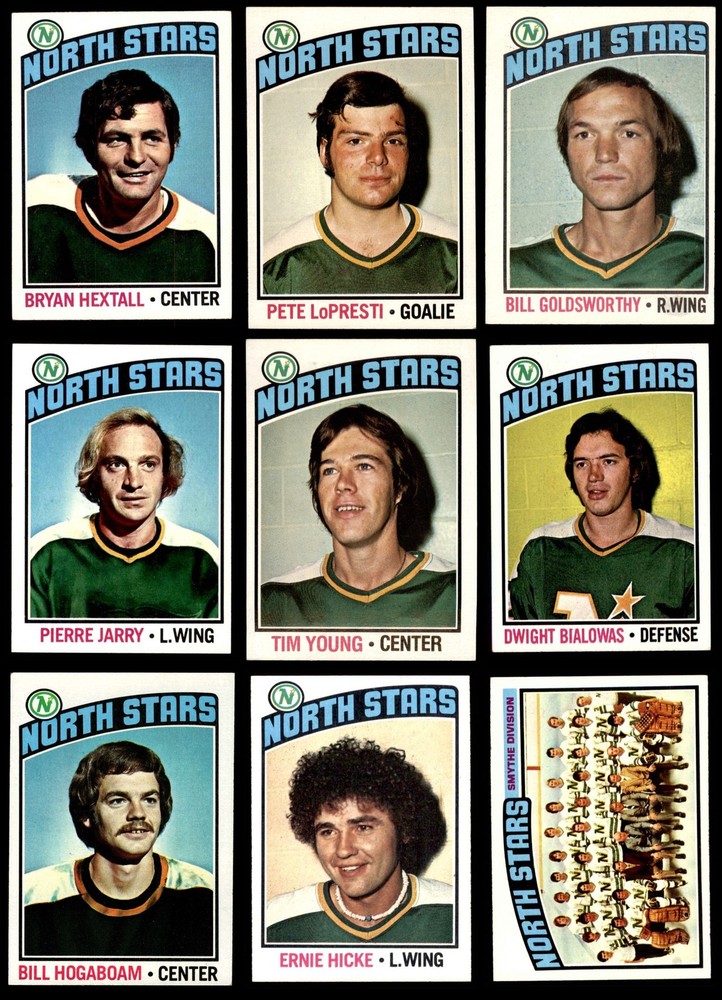 1976-77 Topps Minnesota North Stars Near Team Set 5 - EX 3892835 (15 / 16 cards)