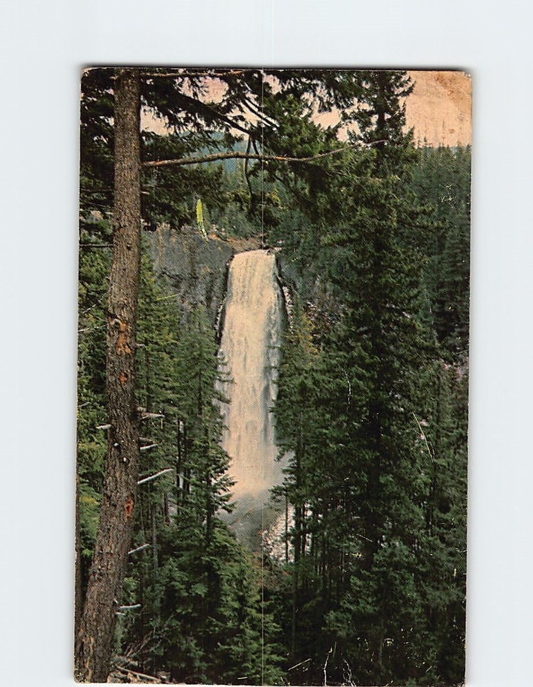 Postcard Salt Creek Falls Willamette Highway Oregon USA