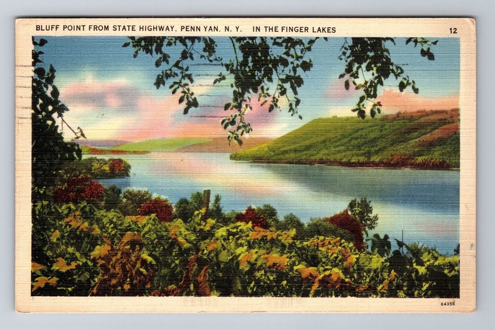 Penn Yan NY-New York, Bluff Point, Finger Lakes, Vintage c1941 Souvenir Postcard