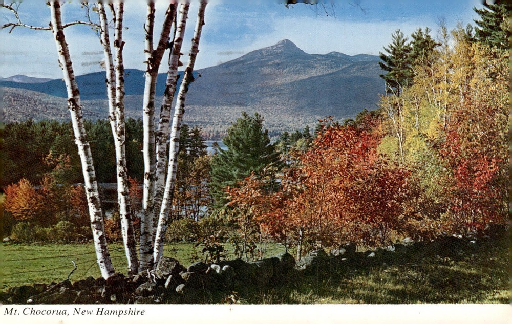 1960s Mt. Chocorua White Mountains New Hampshire Winston Pote Chrome Postcard