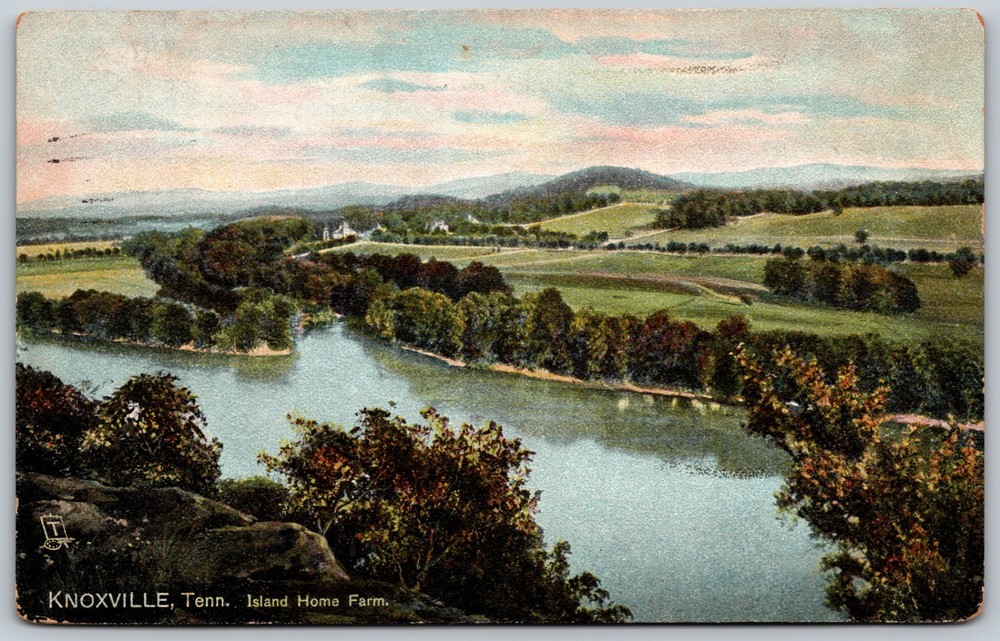 1908 Island Home Farm Knoxville Tennessee River ANTIQUE Postcard 9822