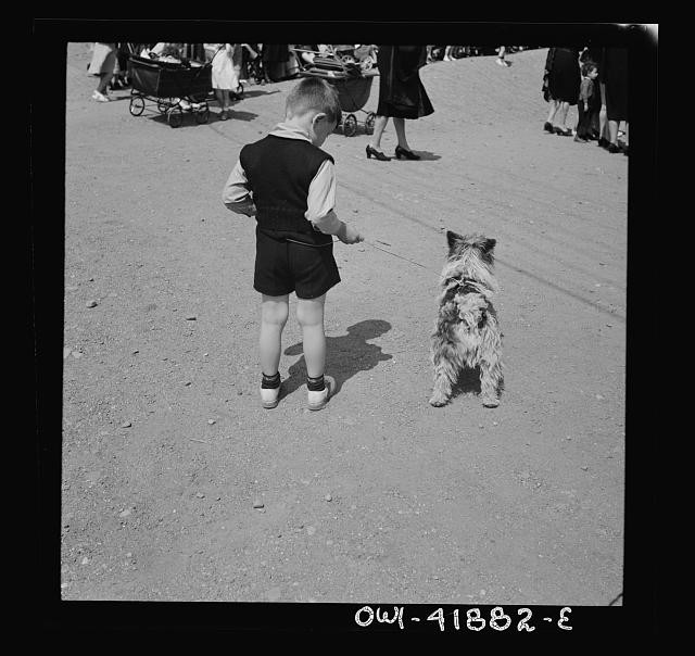 Photo:Southington Connecticut 1942 Boy with Dog Street Scene