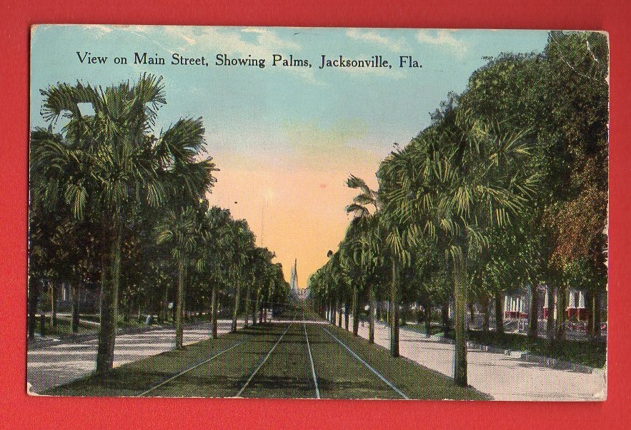Florida - Jacksonville, View On Main Street, Showing Palms Postcard 811
