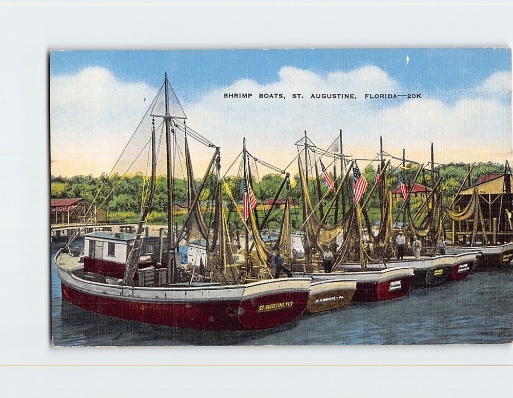 Postcard Shrimp Boats St. Augustine Florida USA