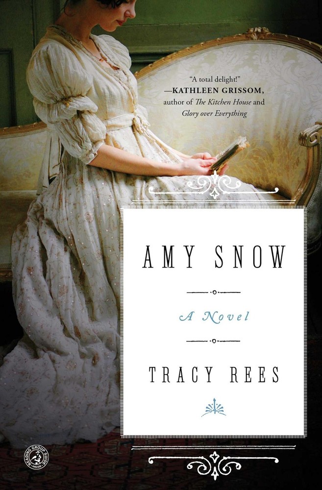Amy Snow: A Novel by Rees