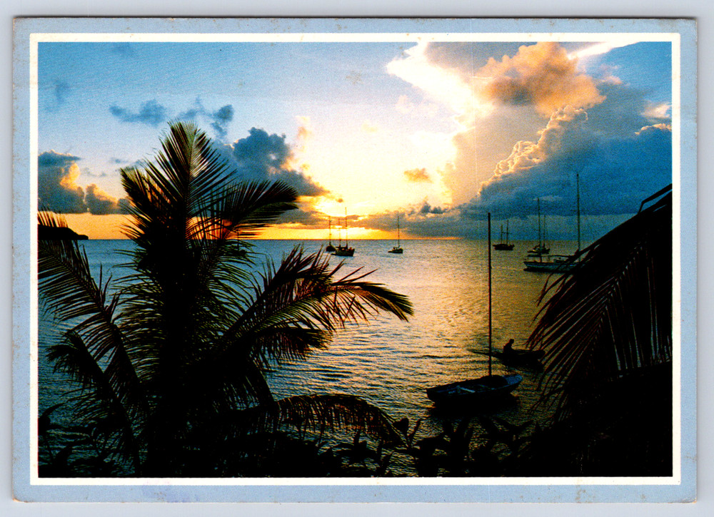 Vintage Postcard Beautiful Florida Boating Paradise Palm Trees