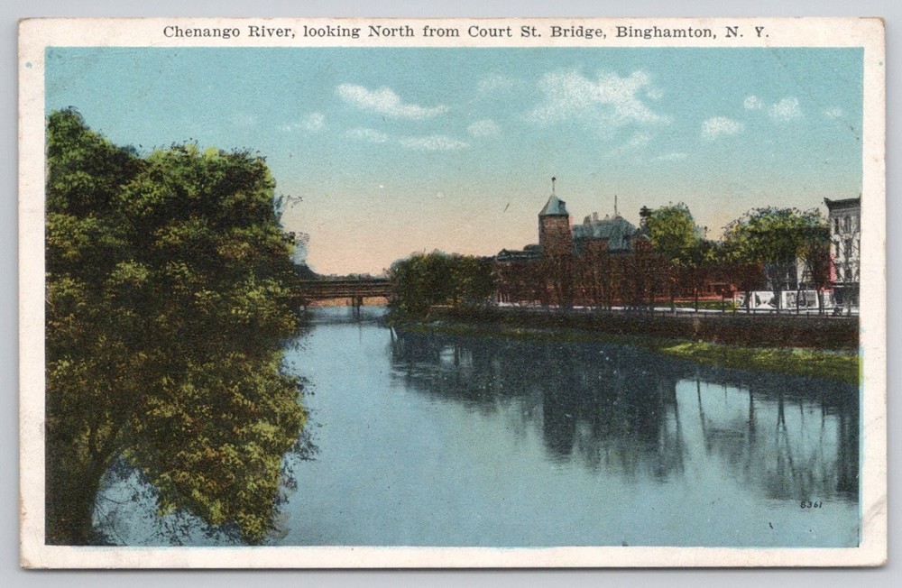 1921 Binghamton NY Chenango River Court St Bridge Vintage Postcard