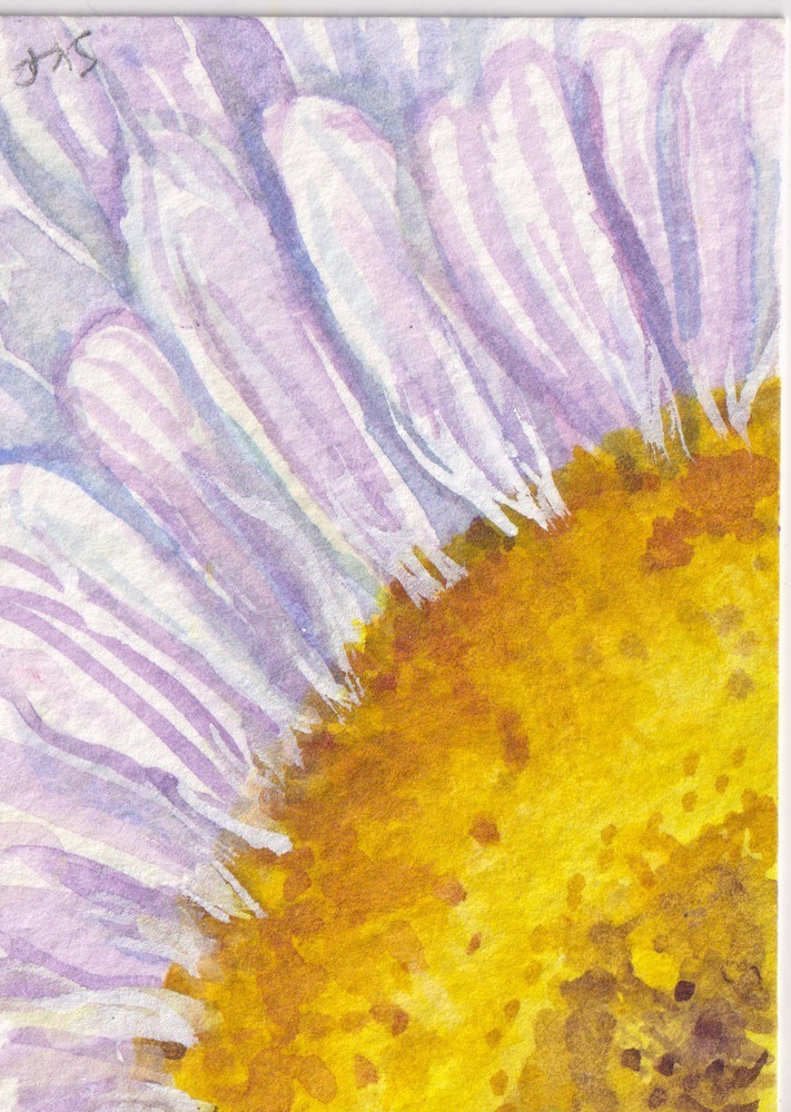 Original White Daisy ACEO Watercolor Painting Floral Art Miniature Daisy Flower