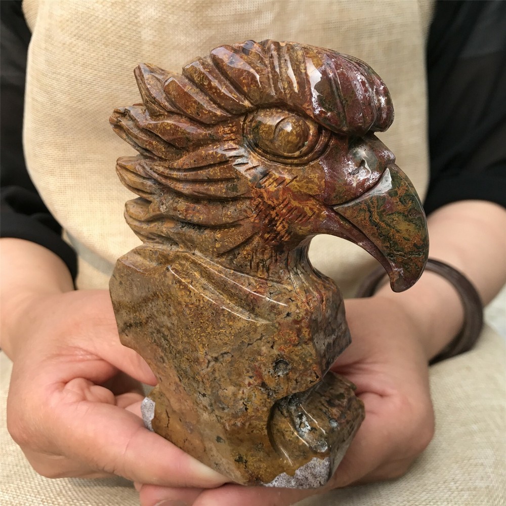 0.77kg Natural ocean jasper Quartz hand Carved eagle skull crystal Reiki xk399