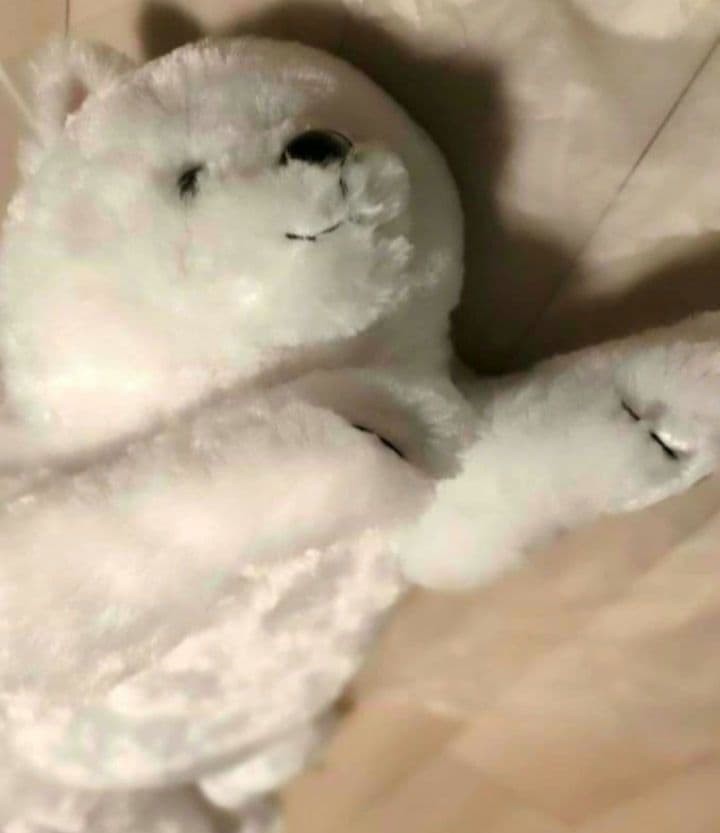 Samoyed BIG plush toy that can be carried on its back #ec35ef