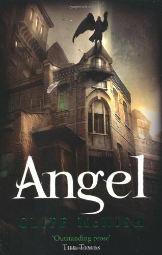 Angel By Cliff McNish. 9781842556290