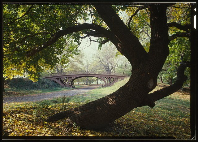 VIEW FROM BRIDLEPATH LOOKING SOUTHWEST - Central Park Bridges, Gothic Arch,