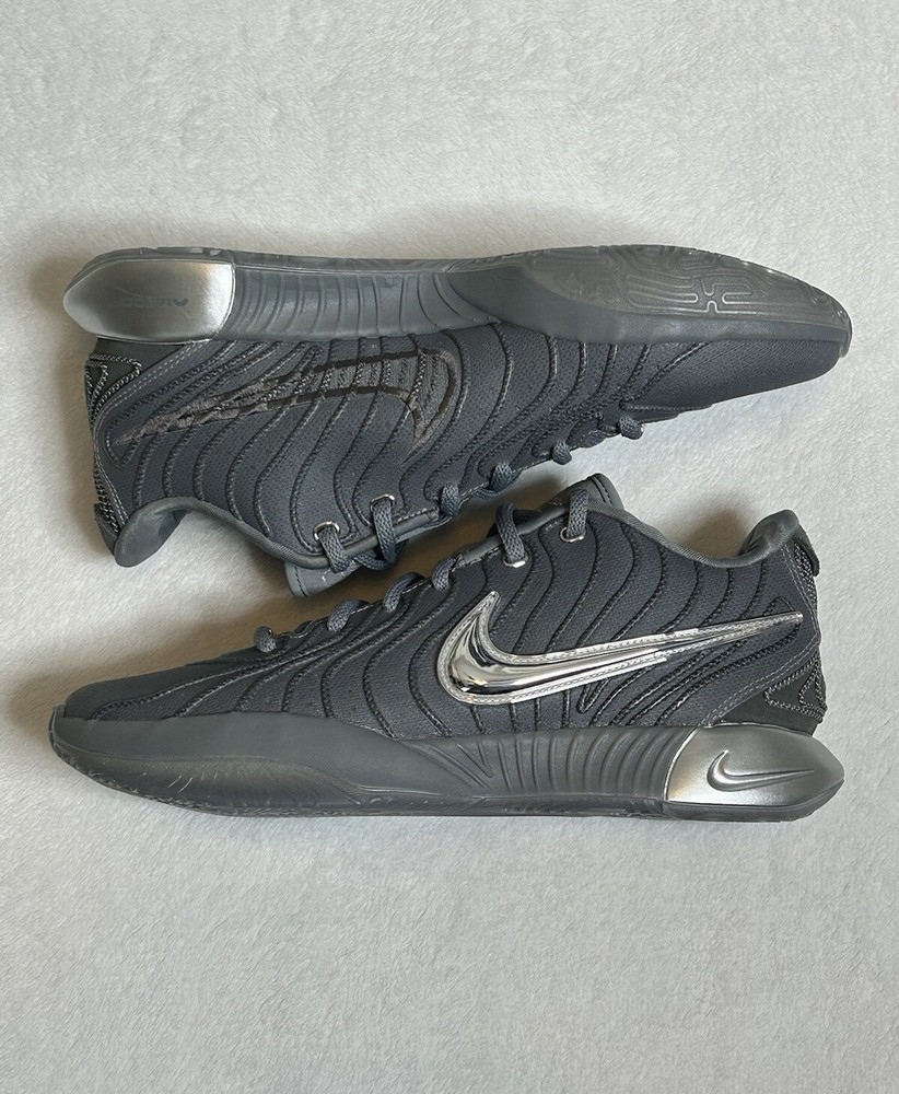 Nike LeBron 21 Resilience Cool Gray Metallic Silver HF5353-001 Men’s Size 10