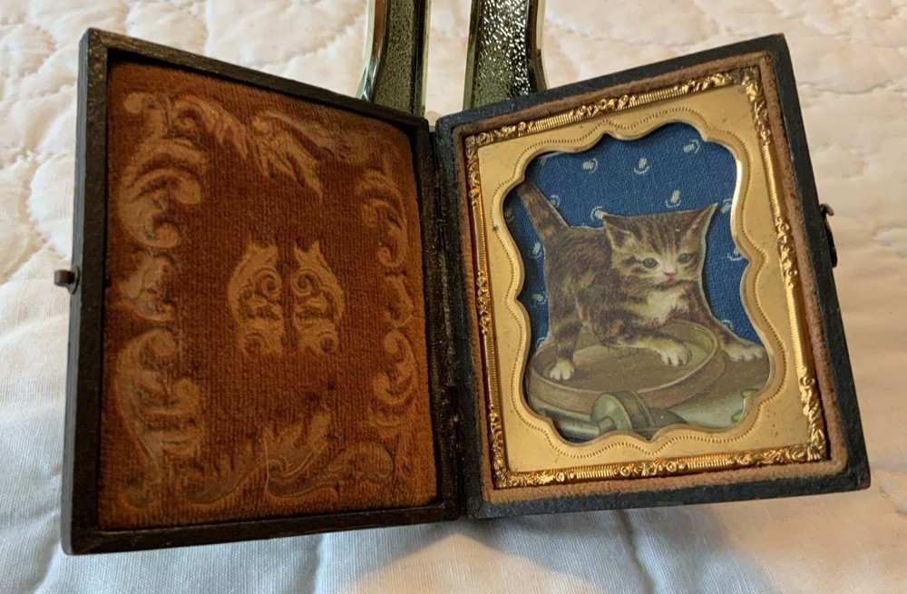 Antique Victorian Trade Card Ephemera Framed, Full Union Case, Kitty Cat