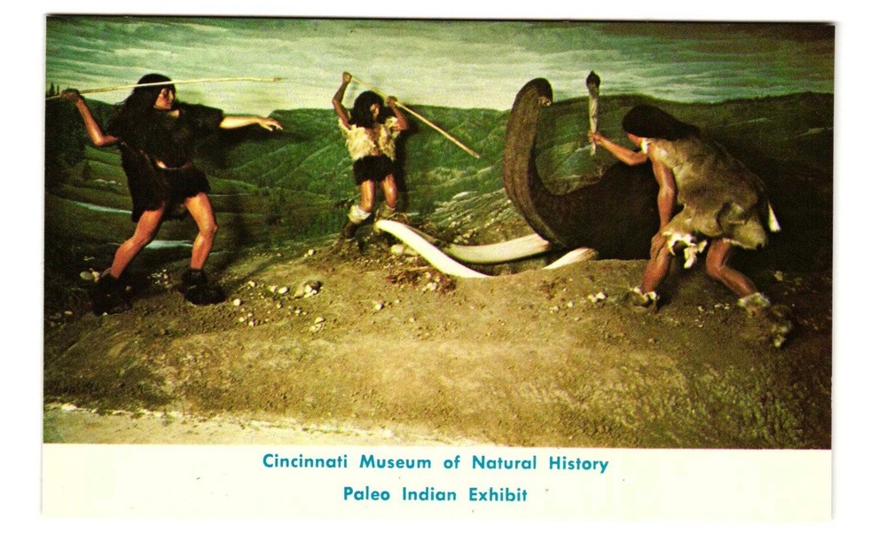 Cincinnati Museum of Natural History Paleo Indian Exhibit Vintage postcard Unp
