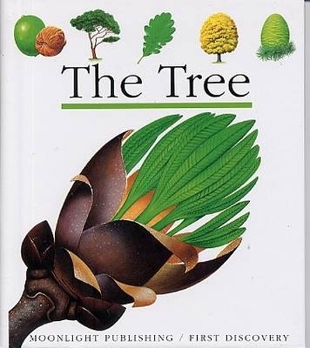 The Tree (First Discovery) (First Discovery Series) by S. Matthews Hardback TheFREE US DELIVERY | ISBN: 1851030875 | Quality Books