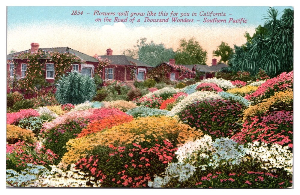 California Road of a Thousand Wonders Southern Pacific Flowers Garden Postcard