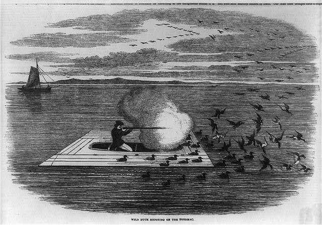 Photo:Wild duck shooting on the Potomac 1850