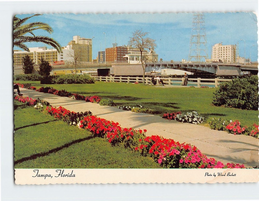 Postcard Skyline of Tampa Florida USA
