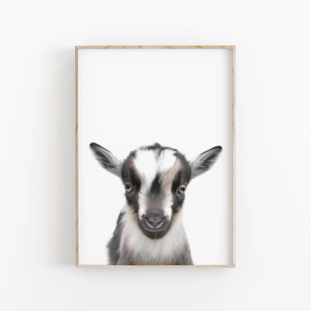Póster de arte animal de granja bebé cabra calidad premium elige tu talla