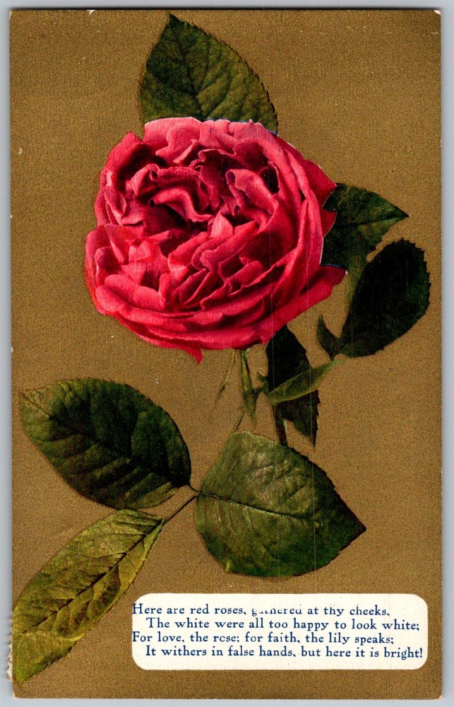 Antique Postcard Red Rose Embossed Poem 1910s