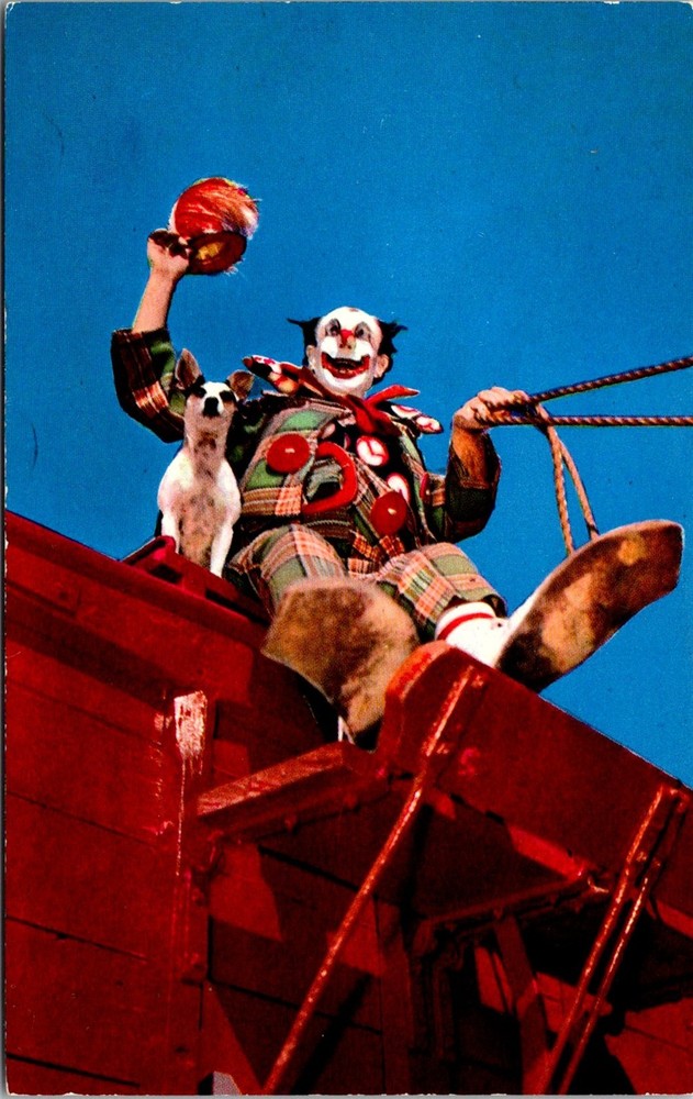 Dr Jim Stamps Postcard Circus Clown And Dog In Sarasota Florida