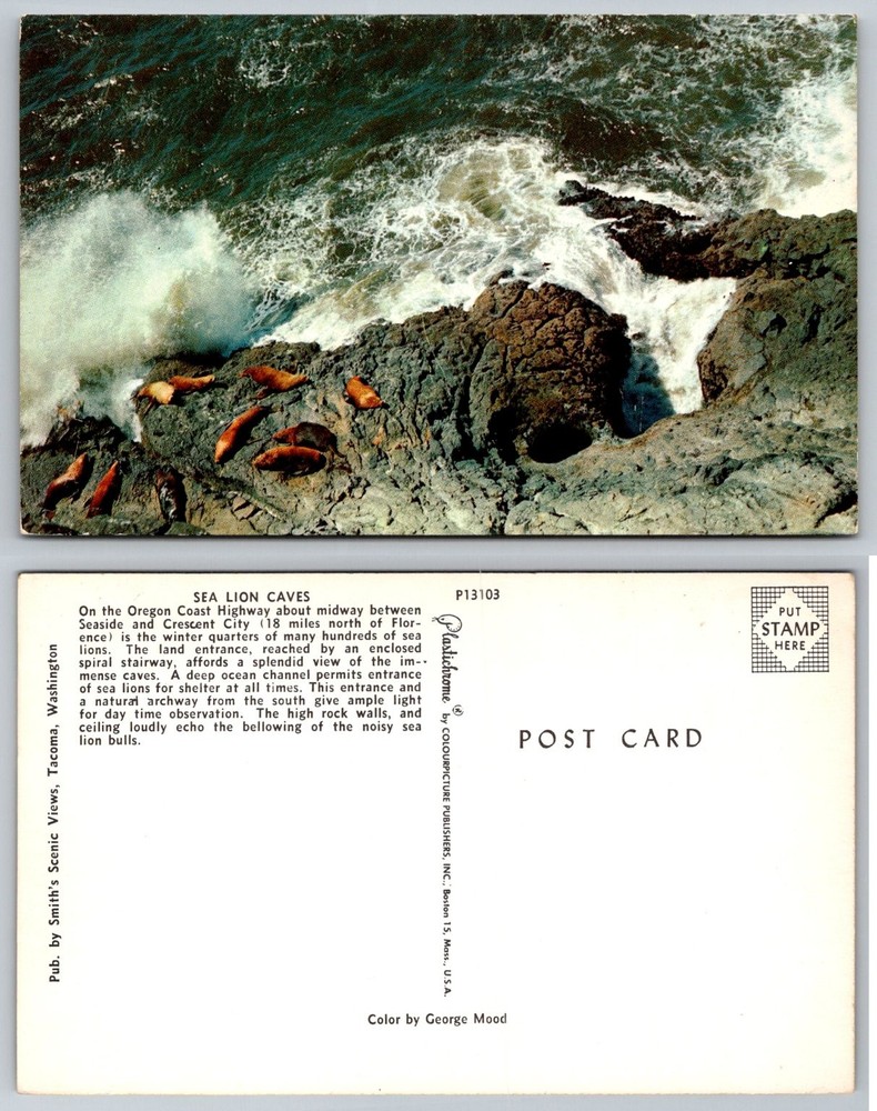 Vintage Sea Lion Caves Oregon Coast Plastichrome Postcard Smith's Scenic Views