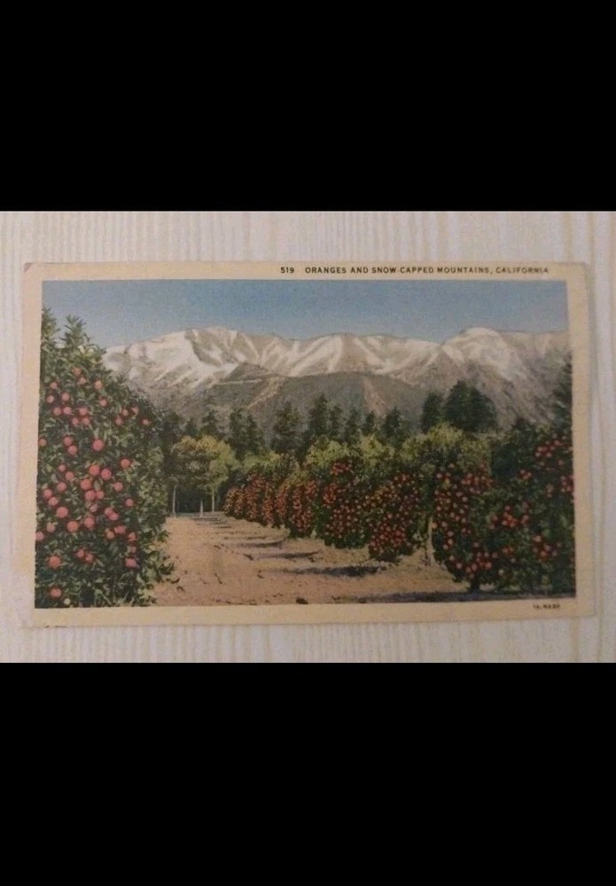 Oranges And Snow-capped Mountains California CA ~ Vintage Linen Postcard~TA-N430