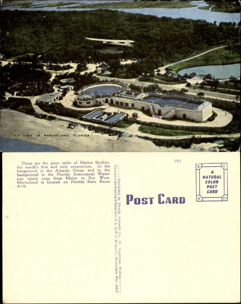 Marineland Marine Studios aerial view Seaplane St. Augustine Florida FL 1940s
