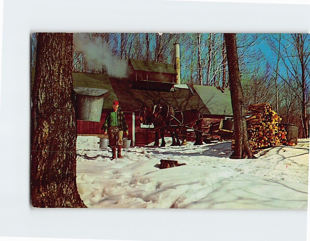 Postcard Maple Sugar Time in Vermont USA