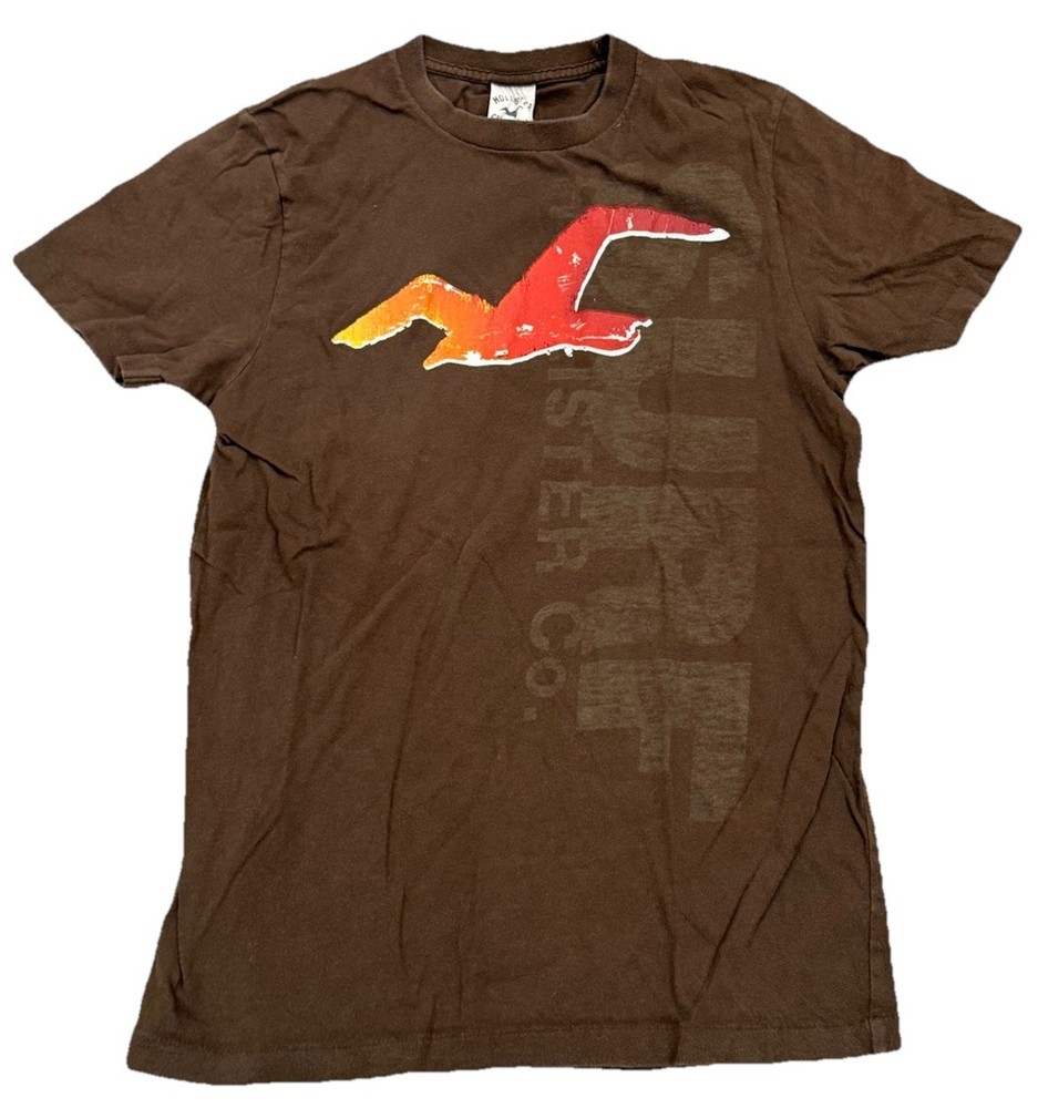 Vintage Y2K Hollister Surf Rare Brown Tee Shirt Men’s Size Medium Cotton