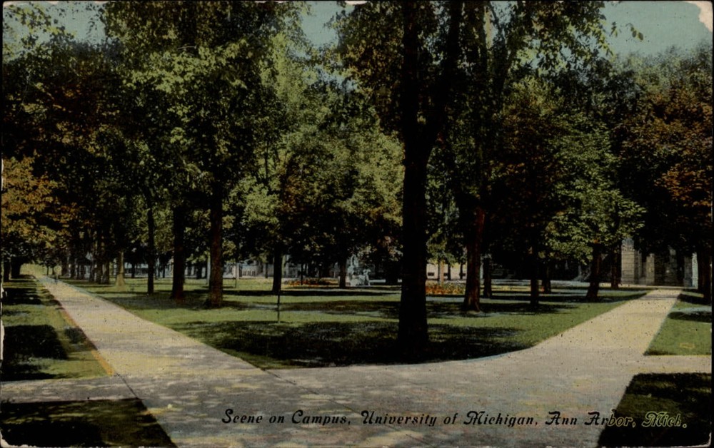 Michigan Ann Arbor University Campus scene ~ 1911 vintage postcard  ~ s9935