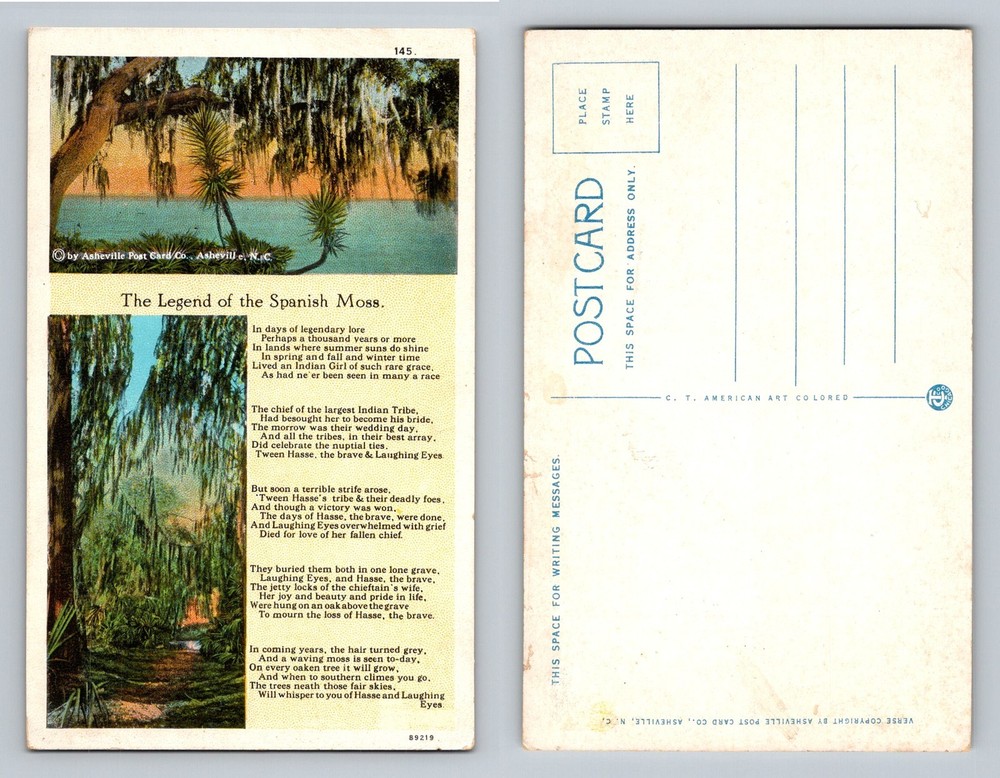 Asheville, NC-North Carolina, Spanish Moss Legend Tree Path Vintage Postcard