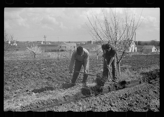 Photo:1930s Farm Workers Digging Ditch Rural Field Barns