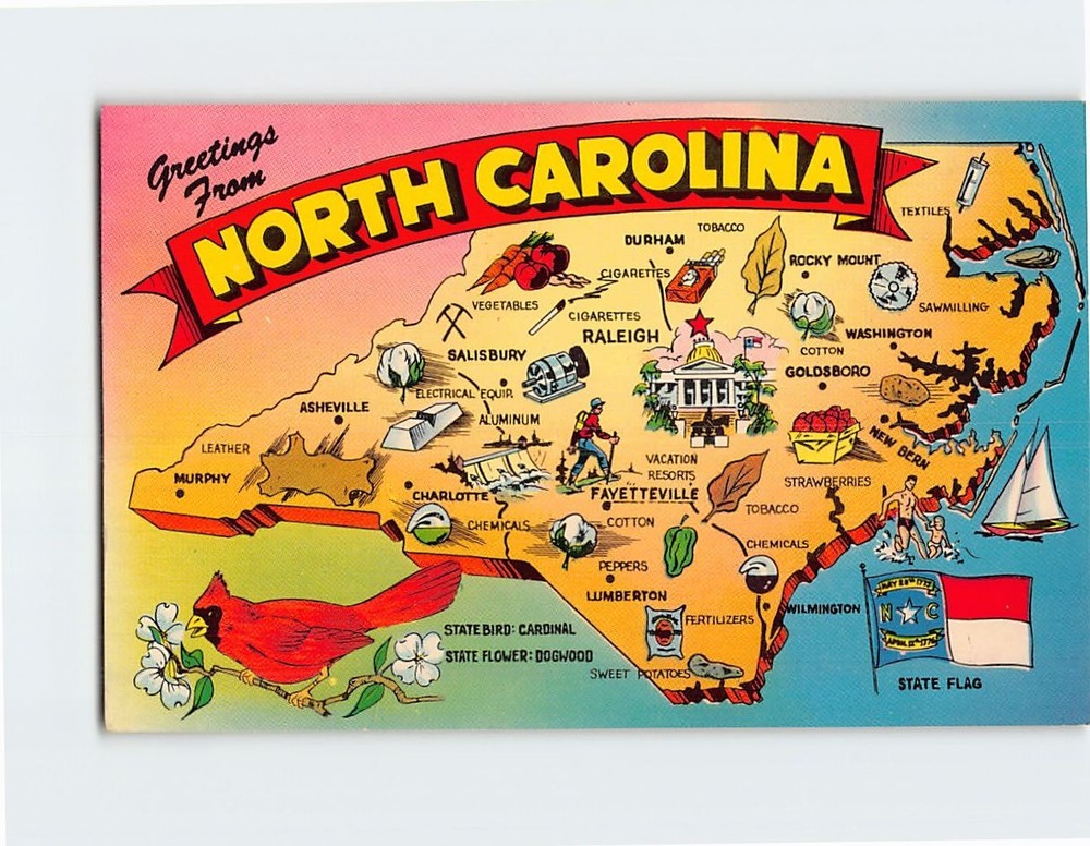 Postcard Greetings from North Carolina USA