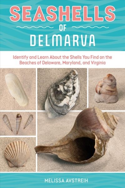 Seashells Of Delmarva by Avstreih, Melissa, Like New Used, Free shipping in t...