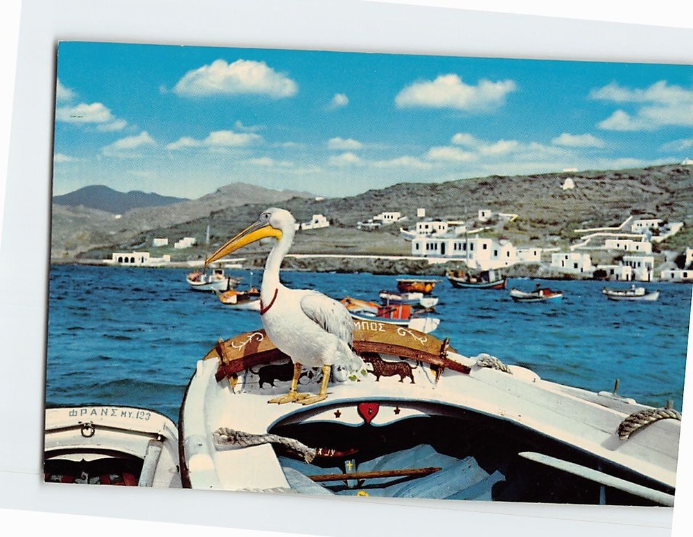 Postcard A part of the port and the pelican Petro Mykonos Greece