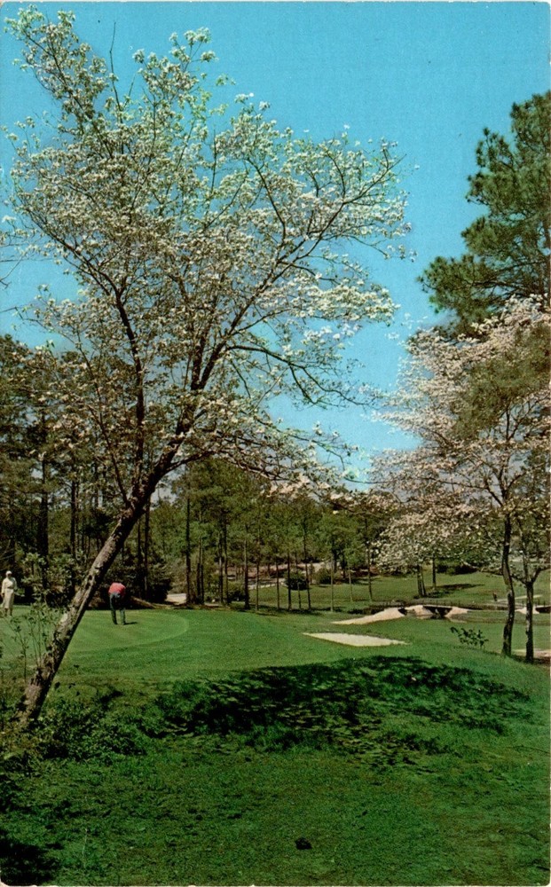 Gulf Coast Dogwood Trees in Gulf Hills Mississippi Postcard