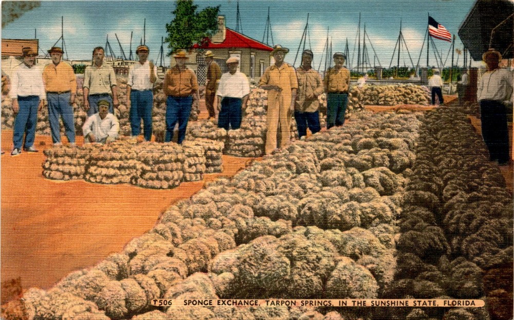 Sponge Exchange, Tarpon Springs, Sunshine State, Florida, Hartman Postcard