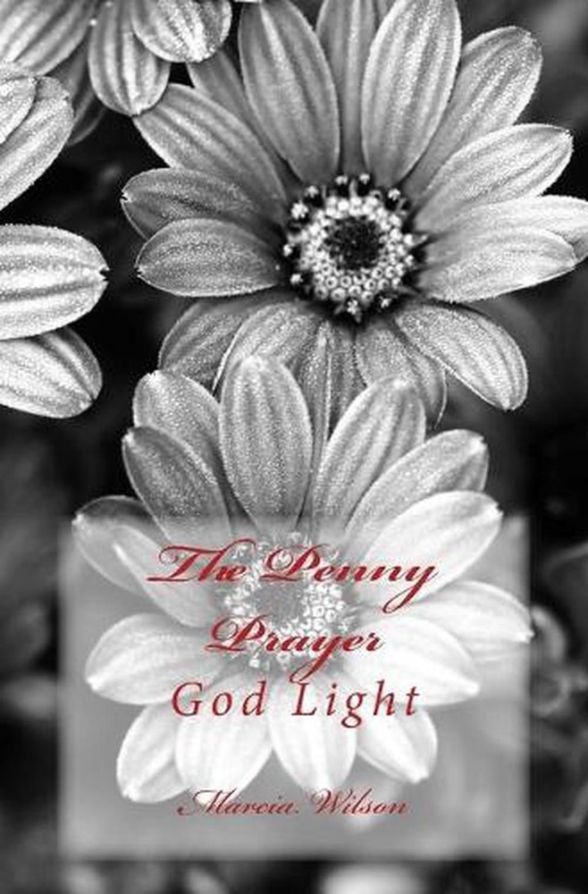 The Penny Prayer: God Light by Marcia Wilson (English) Paperback Book
