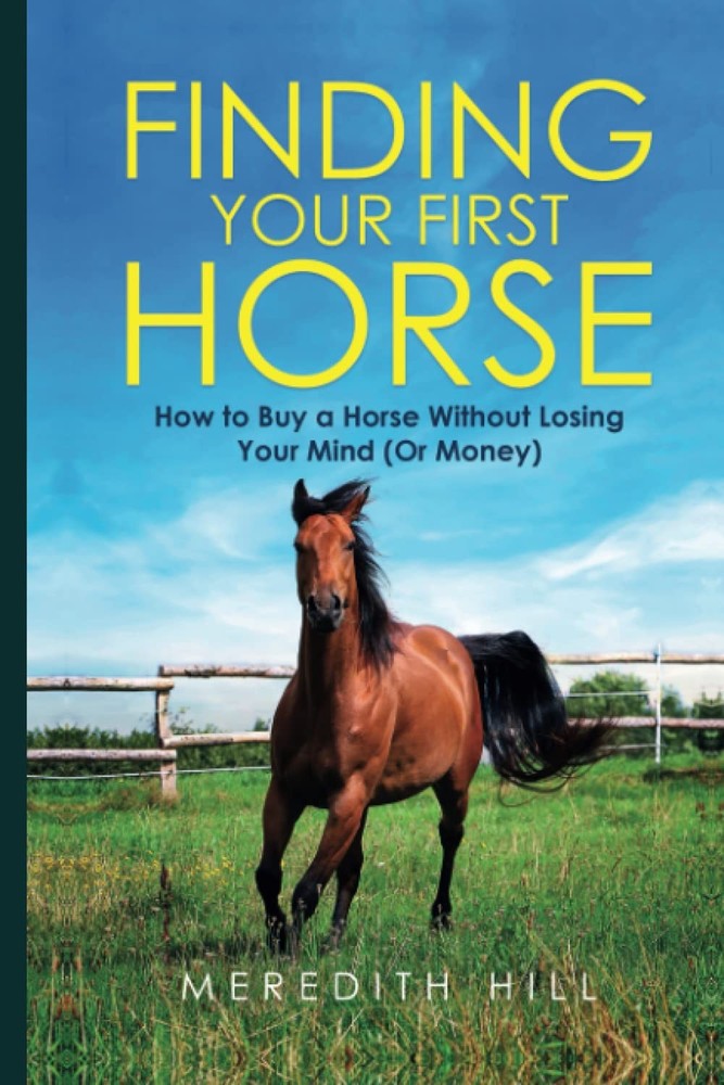 Finding Your First Horse: How to Buy a Horse without Losing Your Mind (or Money)