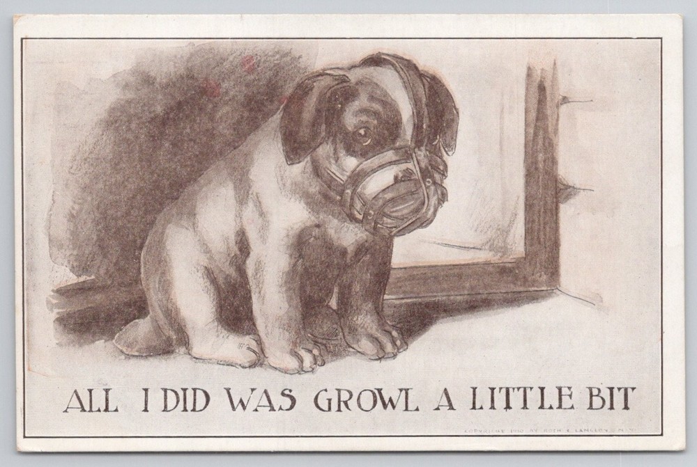 1910 Comic Bulldog Puppy Muzzled 