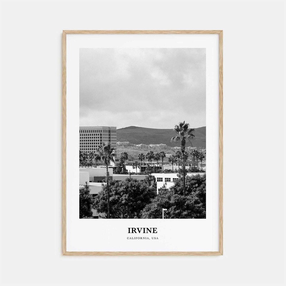 Irvine Wall Art No 2 Irvine Wall Decor Irvine Poster Irvine Home Decor Irvine