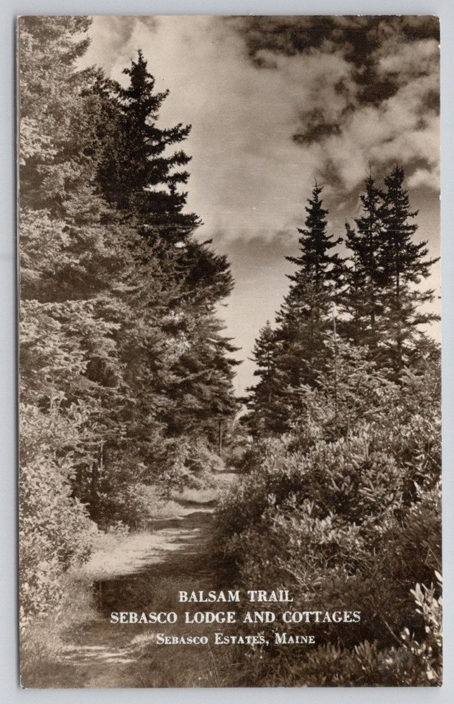 Sebasco Estates Maine Balsam Trail Real Photo Postcard c1920s Lodge Cottages